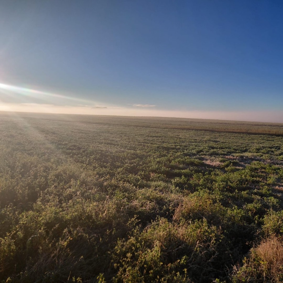 Commercial Property for Sale in Bloemfontein Rural Free State